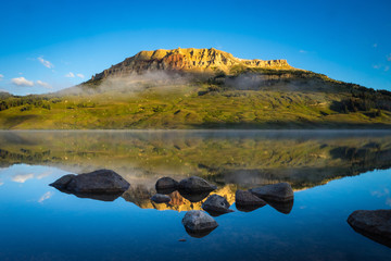 含有动物名称的成语100个