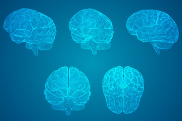 幼儿园的家长进课堂都讲些什么呢？