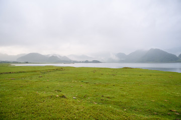 世界环境日活动方案