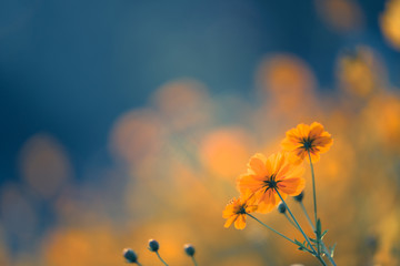 让数学走进生活让数学走进生活-一年级数学小故事