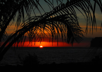 珠海沙滩音乐节10月19日开启附演出时间安排+演出阵容+交通管制信息