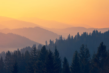 铃兰花为啥不吉利