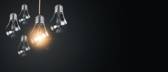 世界环境日活动方案