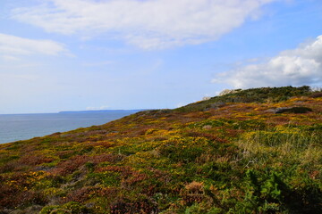 2个字的好词和成语分别有哪些？