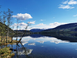 六年级上册第六单元英语42页的公告栏怎么读