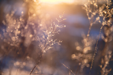 含有动物名称的成语100个