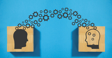 幼儿园小班科学实验教案详案《花儿妙用多》