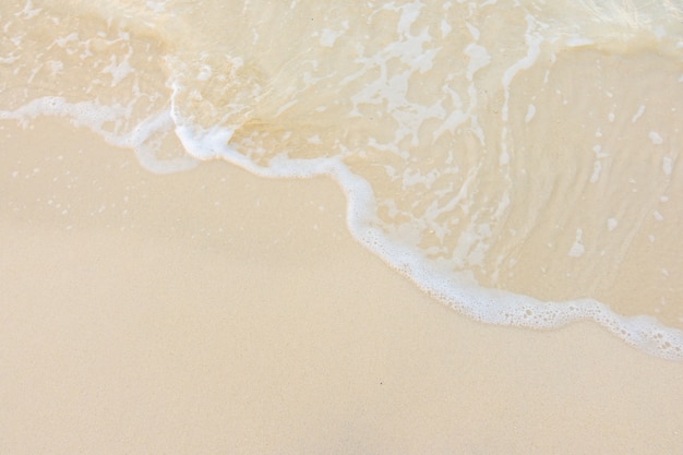 珠海沙滩音乐节10月19日开启附演出时间安排+演出阵容+交通管制信息