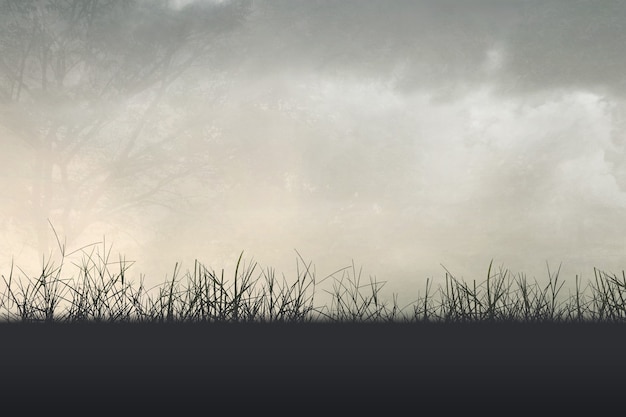 2个字的好词和成语分别有哪些？