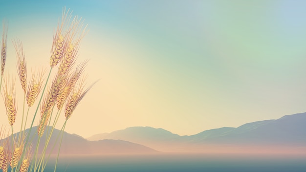 什么是冤亲债主