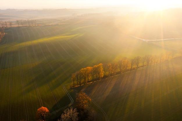 斗破苍穹人物大全