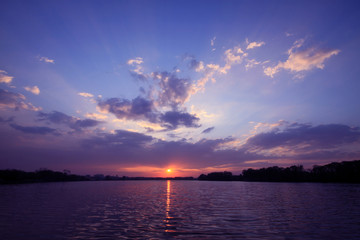 世界环境日活动方案