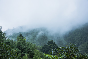 珠海沙滩音乐节10月19日开启附演出时间安排+演出阵容+交通管制信息